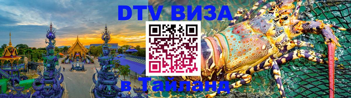 Оформление DTV визы под ключ: стоимость и тарифы, только загранпаспорт - Сана  21.11.2025 